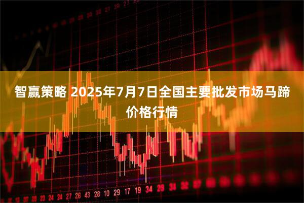 智赢策略 2025年7月7日全国主要批发市场马蹄价格行情