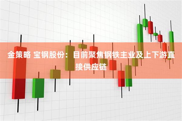金策略 宝钢股份：目前聚焦钢铁主业及上下游直接供应链