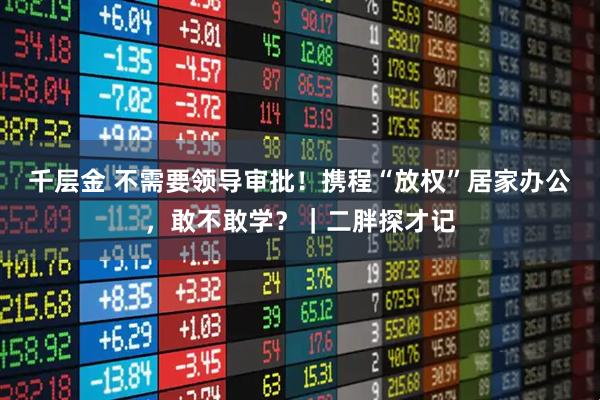 千层金 不需要领导审批！携程“放权”居家办公，敢不敢学？｜二胖探才记